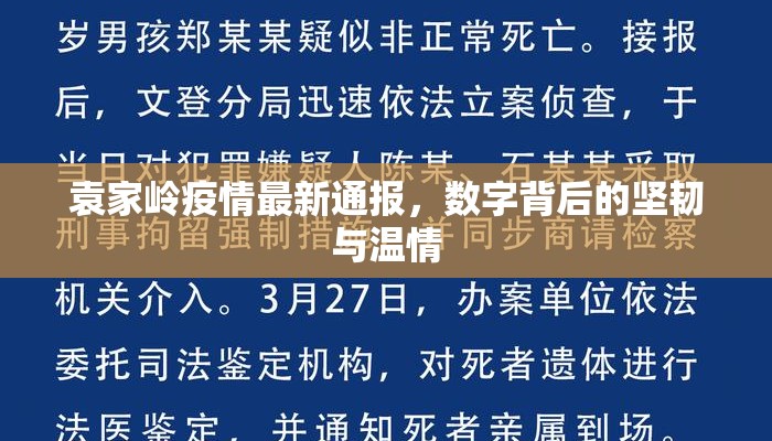 袁家岭疫情最新通报，数字背后的坚韧与温情