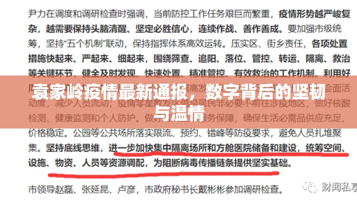 袁家岭疫情最新通报，数字背后的坚韧与温情