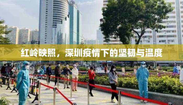 红岭映照，深圳疫情下的坚韧与温度