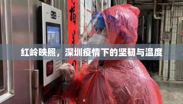 红岭映照，深圳疫情下的坚韧与温度