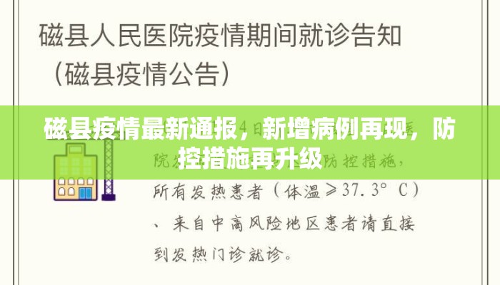 磁县疫情最新通报，新增病例再现，防控措施再升级