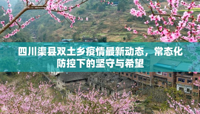 四川渠县双土乡疫情最新动态，常态化防控下的坚守与希望