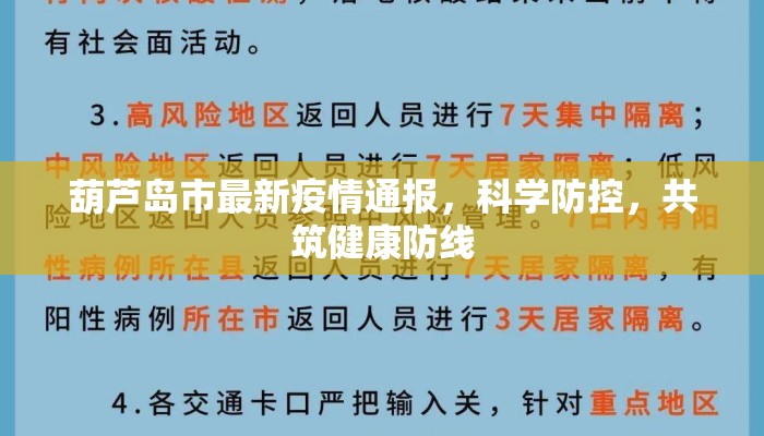 葫芦岛市最新疫情通报，科学防控，共筑健康防线