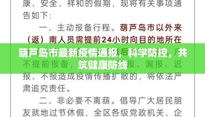 葫芦岛市最新疫情通报，科学防控，共筑健康防线