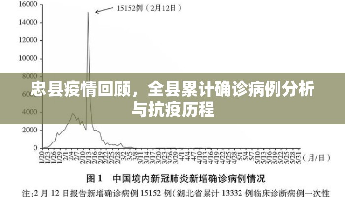 忠县疫情回顾，全县累计确诊病例分析与抗疫历程