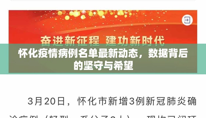 怀化疫情病例名单最新动态，数据背后的坚守与希望