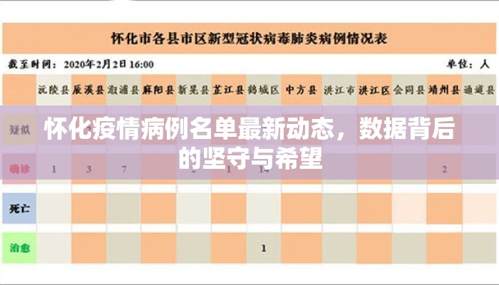 怀化疫情病例名单最新动态，数据背后的坚守与希望