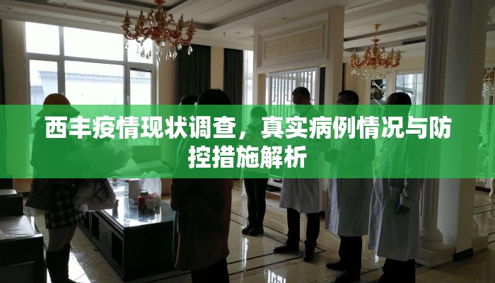 西丰疫情现状调查，真实病例情况与防控措施解析