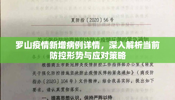 罗山疫情新增病例详情，深入解析当前防控形势与应对策略