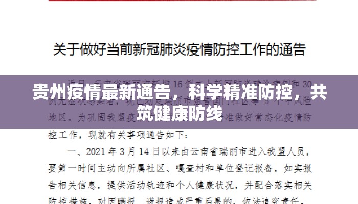 贵州疫情最新通告，科学精准防控，共筑健康防线