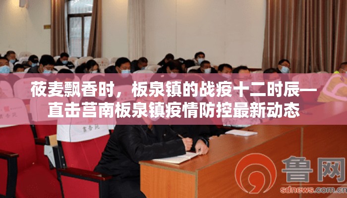 莜麦飘香时，板泉镇的战疫十二时辰—直击莒南板泉镇疫情防控最新动态