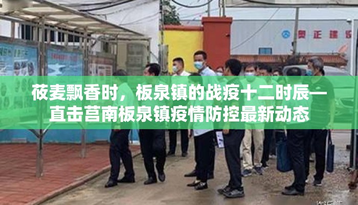 莜麦飘香时，板泉镇的战疫十二时辰—直击莒南板泉镇疫情防控最新动态