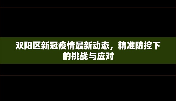 双阳区新冠疫情最新动态，精准防控下的挑战与应对