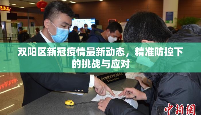 双阳区新冠疫情最新动态，精准防控下的挑战与应对