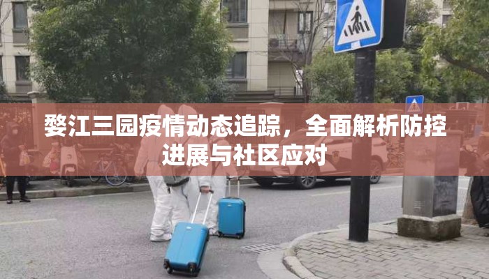 婺江三园疫情动态追踪，全面解析防控进展与社区应对