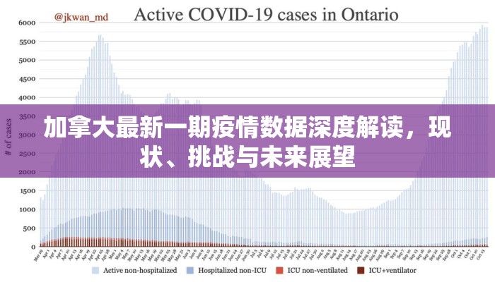 加拿大最新一期疫情数据深度解读，现状、挑战与未来展望