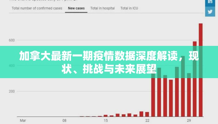 加拿大最新一期疫情数据深度解读，现状、挑战与未来展望