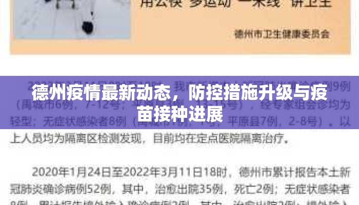 德州疫情最新动态，防控措施升级与疫苗接种进展