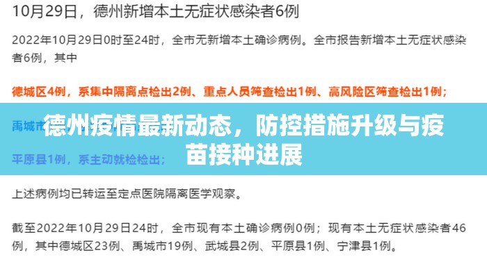 德州疫情最新动态，防控措施升级与疫苗接种进展