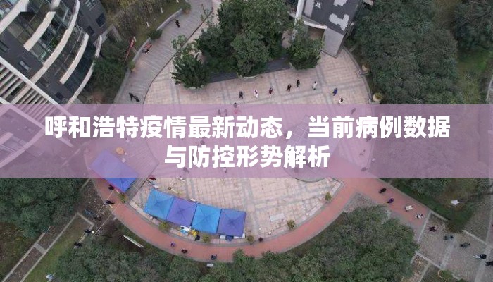 呼和浩特疫情最新动态，当前病例数据与防控形势解析