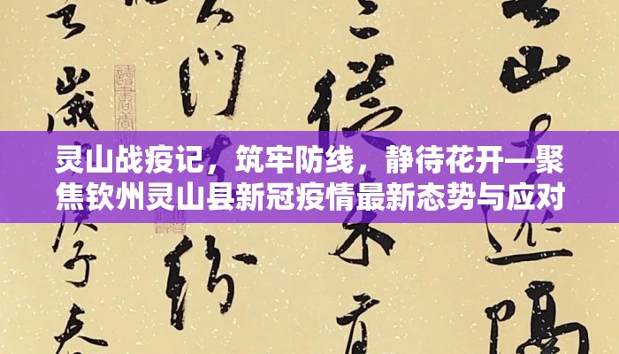 灵山战疫记，筑牢防线，静待花开—聚焦钦州灵山县新冠疫情最新态势与应对