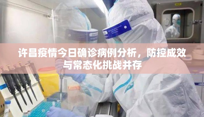 许昌疫情今日确诊病例分析，防控成效与常态化挑战并存