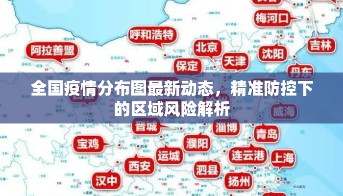全国疫情分布图最新动态，精准防控下的区域风险解析
