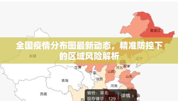 全国疫情分布图最新动态，精准防控下的区域风险解析
