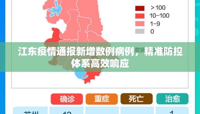 江东疫情通报新增数例病例，精准防控体系高效响应
