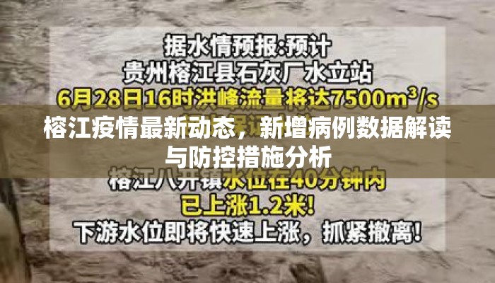 榕江疫情最新动态，新增病例数据解读与防控措施分析