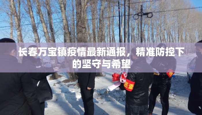 长春万宝镇疫情最新通报，精准防控下的坚守与希望
