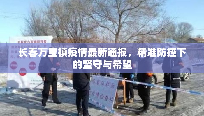 长春万宝镇疫情最新通报，精准防控下的坚守与希望