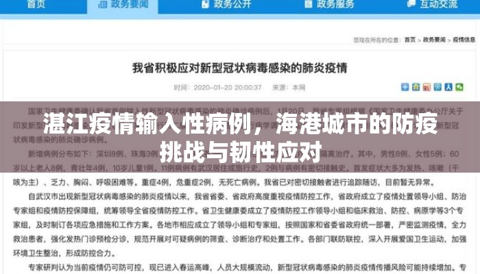 湛江疫情输入性病例，海港城市的防疫挑战与韧性应对