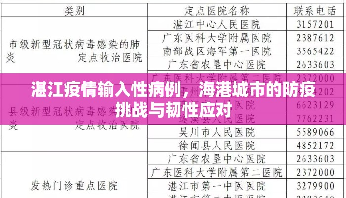湛江疫情输入性病例，海港城市的防疫挑战与韧性应对
