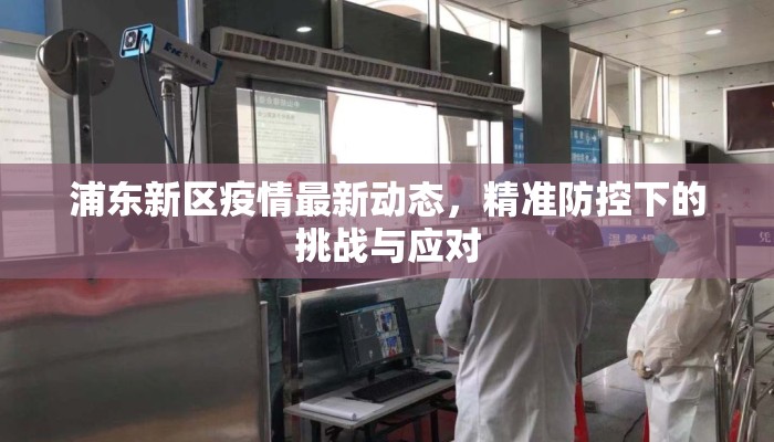 浦东新区疫情最新动态，精准防控下的挑战与应对