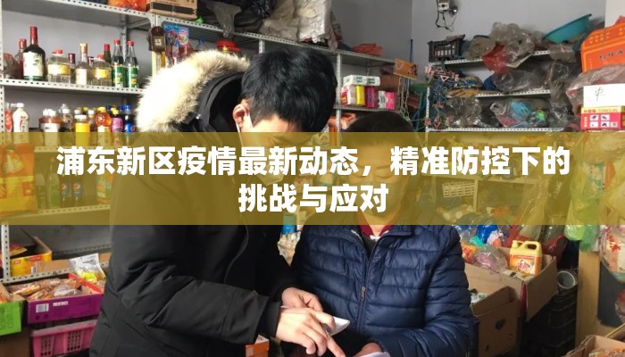 浦东新区疫情最新动态，精准防控下的挑战与应对
