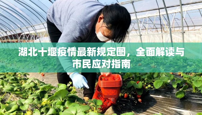湖北十堰疫情最新规定图，全面解读与市民应对指南