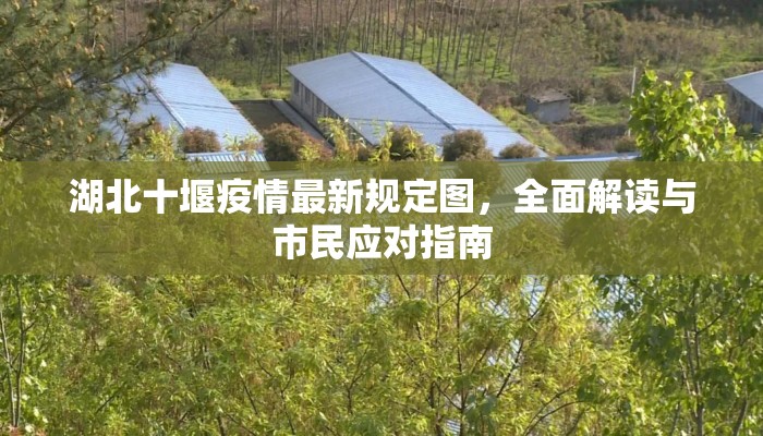 湖北十堰疫情最新规定图，全面解读与市民应对指南