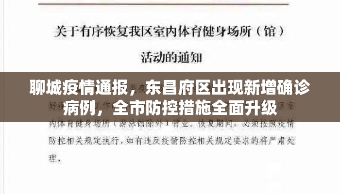 聊城疫情通报，东昌府区出现新增确诊病例，全市防控措施全面升级