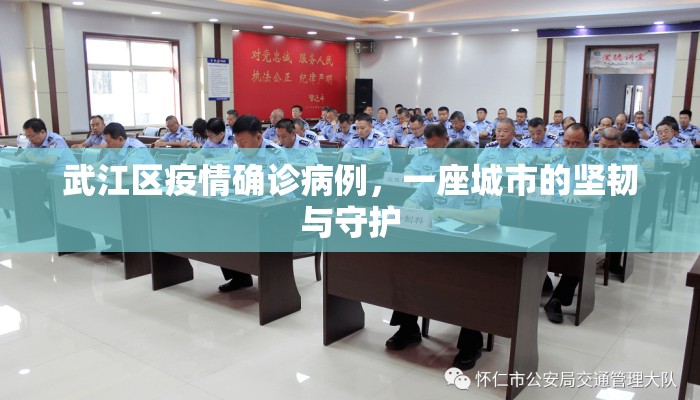 武江区疫情确诊病例，一座城市的坚韧与守护
