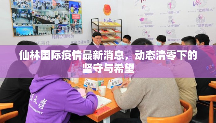 仙林国际疫情最新消息，动态清零下的坚守与希望