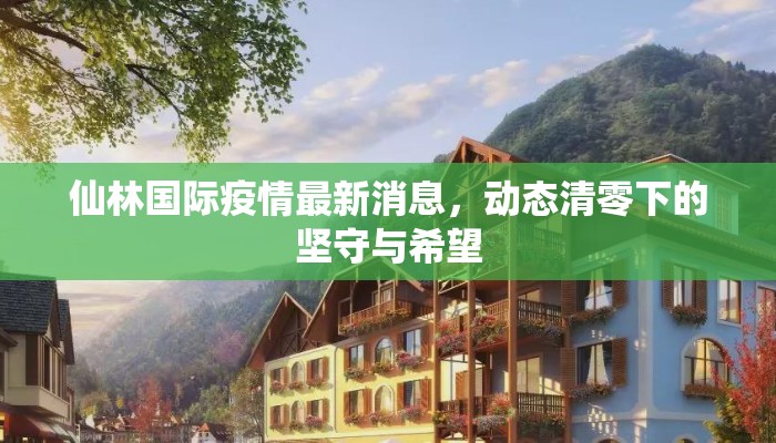 仙林国际疫情最新消息，动态清零下的坚守与希望