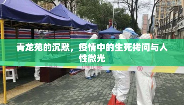 青龙苑的沉默，疫情中的生死拷问与人性微光
