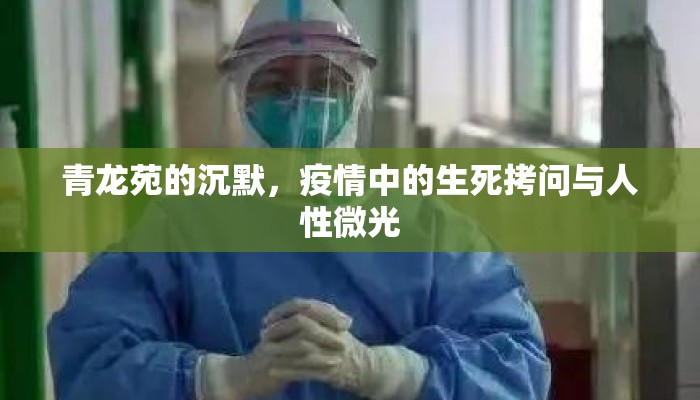 青龙苑的沉默，疫情中的生死拷问与人性微光