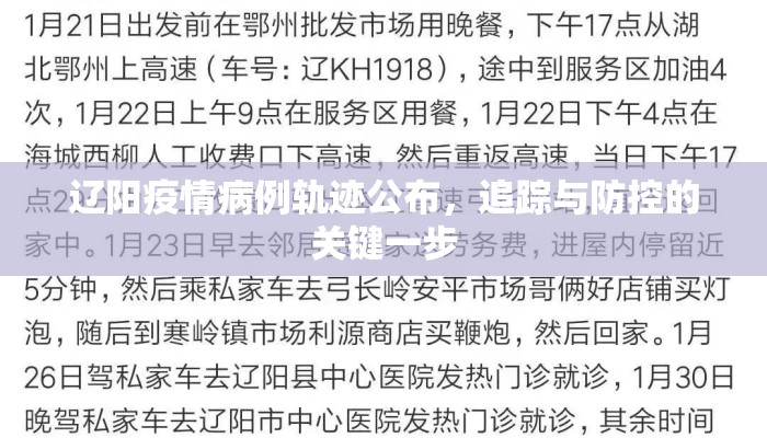 辽阳疫情病例轨迹公布，追踪与防控的关键一步