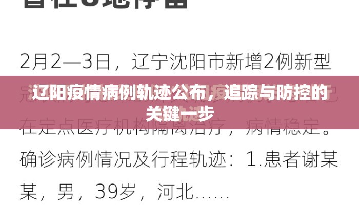 辽阳疫情病例轨迹公布，追踪与防控的关键一步