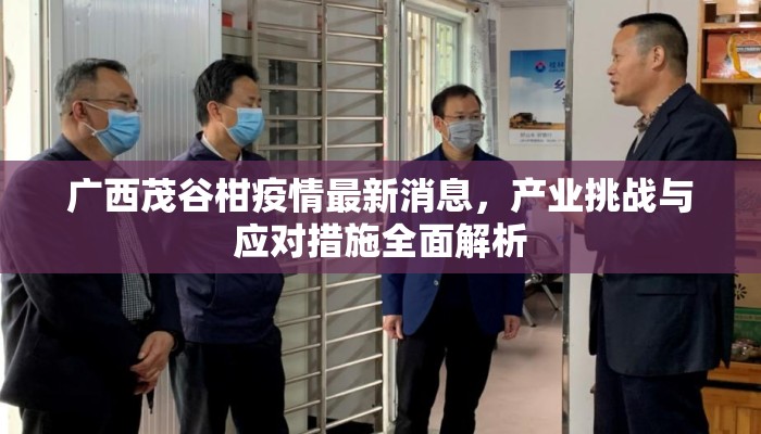 广西茂谷柑疫情最新消息，产业挑战与应对措施全面解析