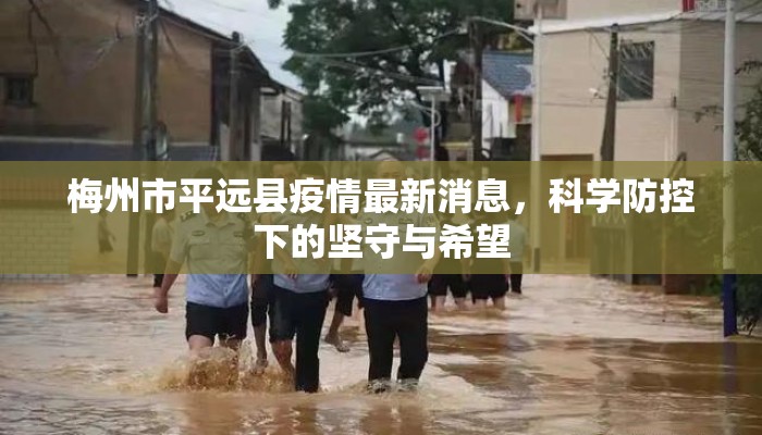 梅州市平远县疫情最新消息，科学防控下的坚守与希望