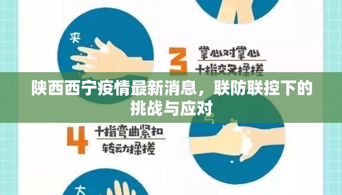 陕西西宁疫情最新消息，联防联控下的挑战与应对