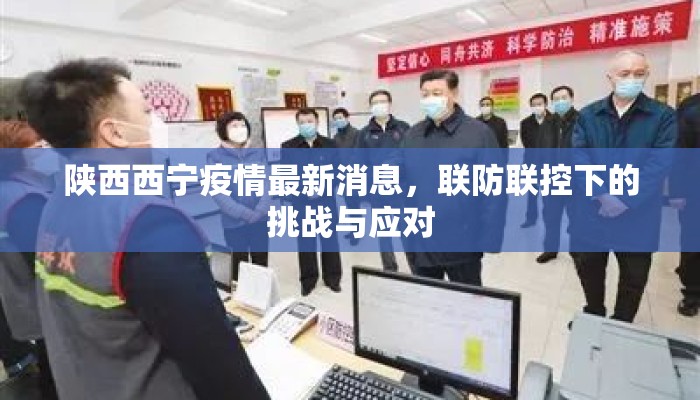 陕西西宁疫情最新消息，联防联控下的挑战与应对